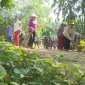 Hội Phụ nữ xã Đồng Lương chung tay xây dựng nông thôn mới