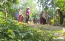Hội Phụ nữ xã Đồng Lương chung tay xây dựng nông thôn mới